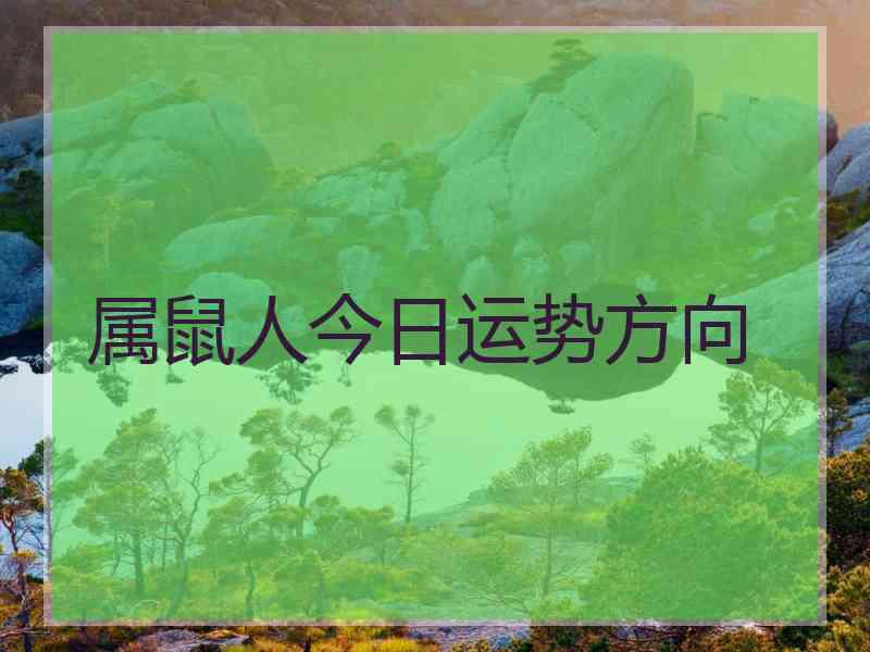 属鼠人今日运势方向