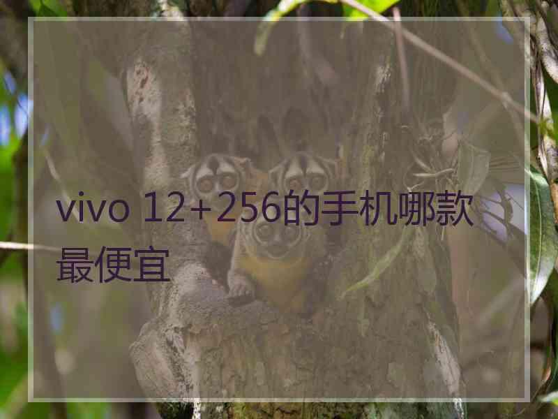 vivo 12+256的手机哪款最便宜