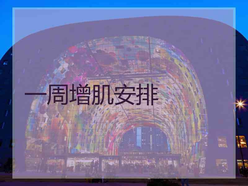 一周增肌安排
