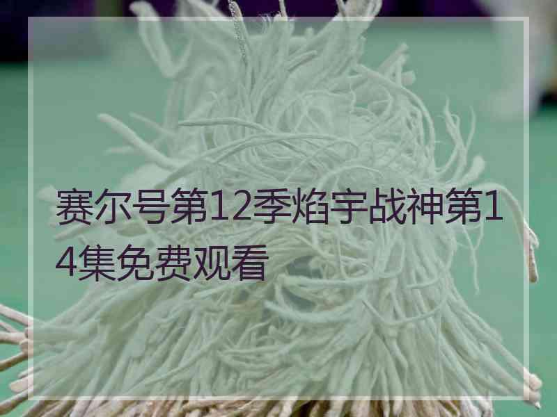 赛尔号第12季焰宇战神第14集免费观看