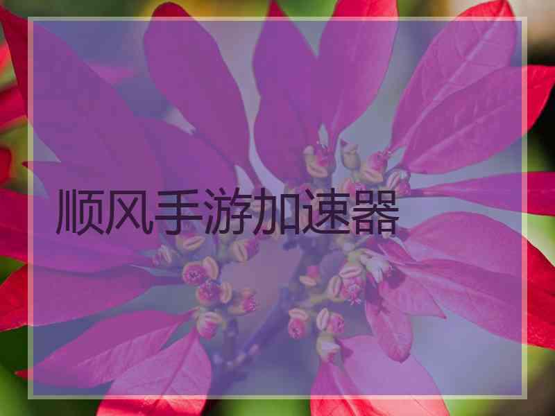顺风手游加速器