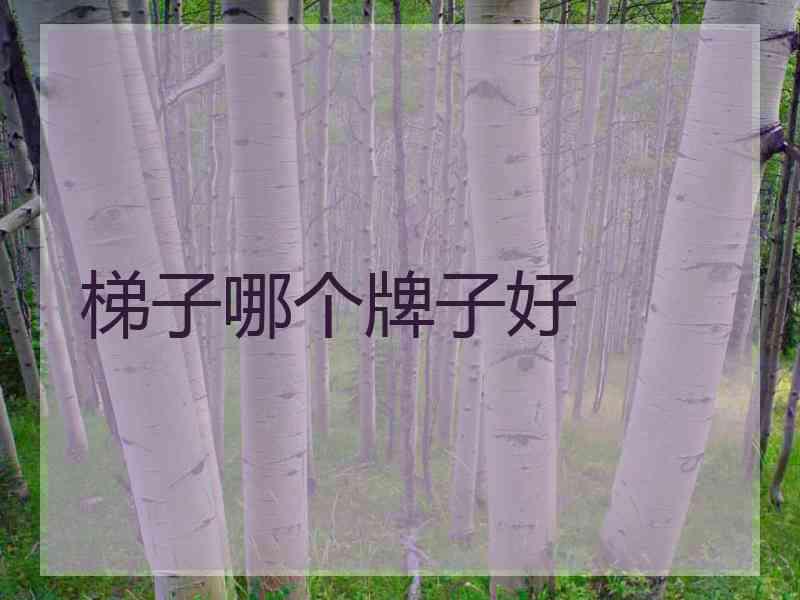 梯子哪个牌子好