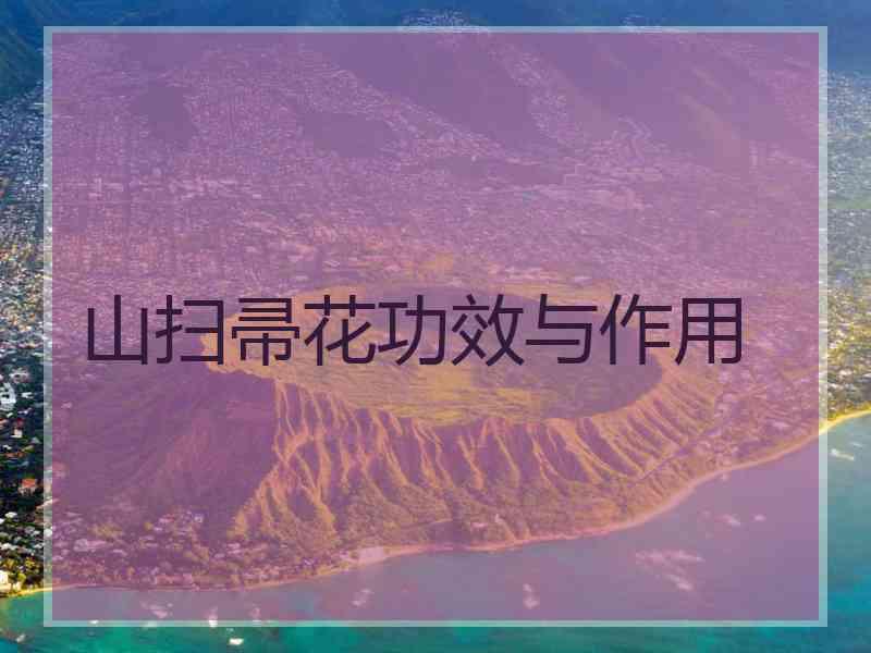 山扫帚花功效与作用