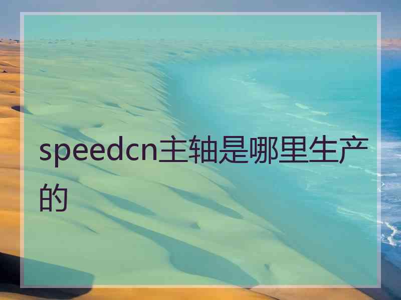 speedcn主轴是哪里生产的