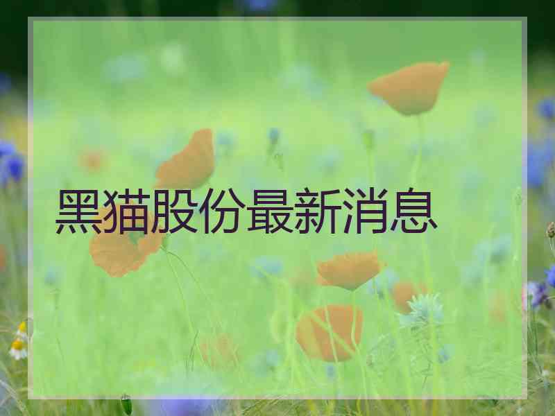 黑猫股份最新消息
