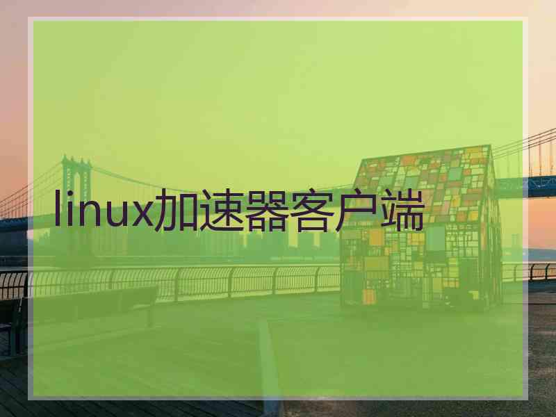 linux加速器客户端