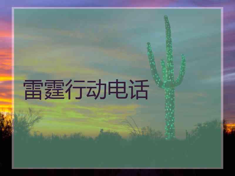 雷霆行动电话