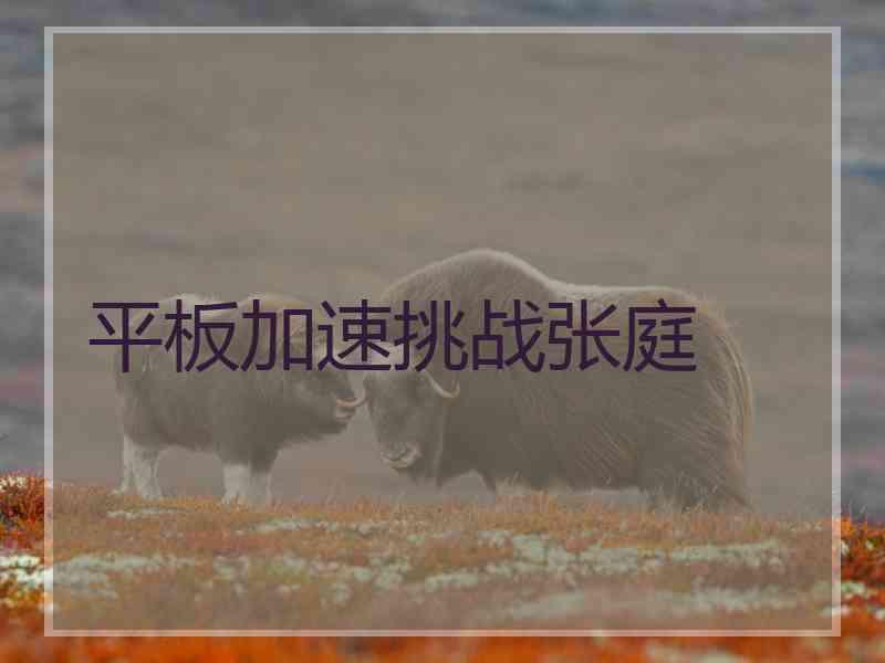 平板加速挑战张庭