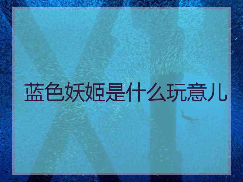 蓝色妖姬是什么玩意儿