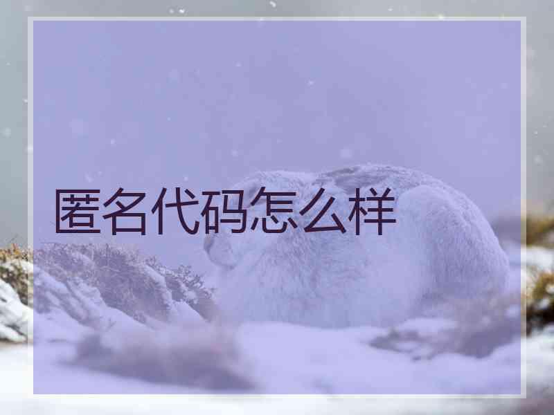 匿名代码怎么样