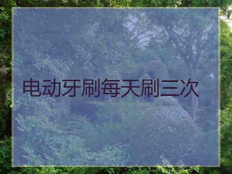 电动牙刷每天刷三次