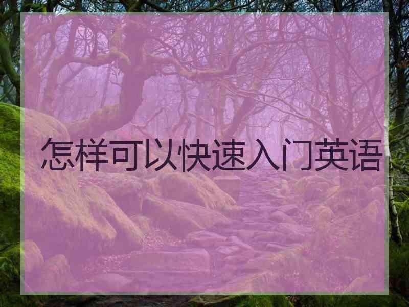 怎样可以快速入门英语
