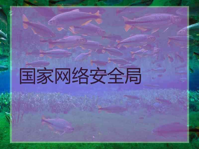 国家网络安全局