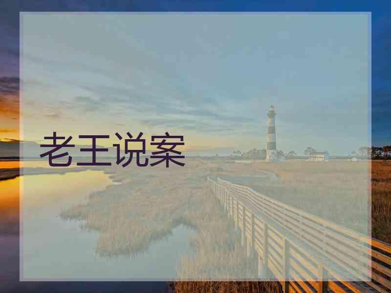 老王说案