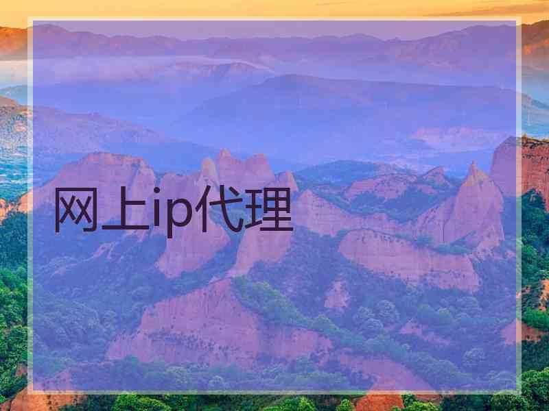 网上ip代理