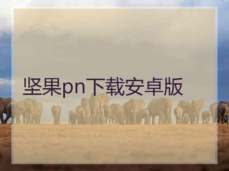 坚果pn下载安卓版