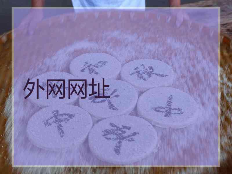 外网网址
