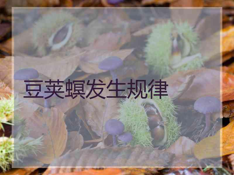 豆荚螟发生规律