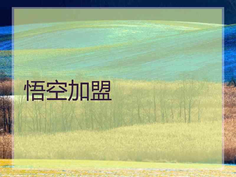 悟空加盟