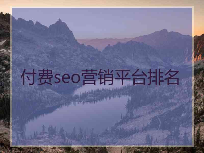 付费seo营销平台排名