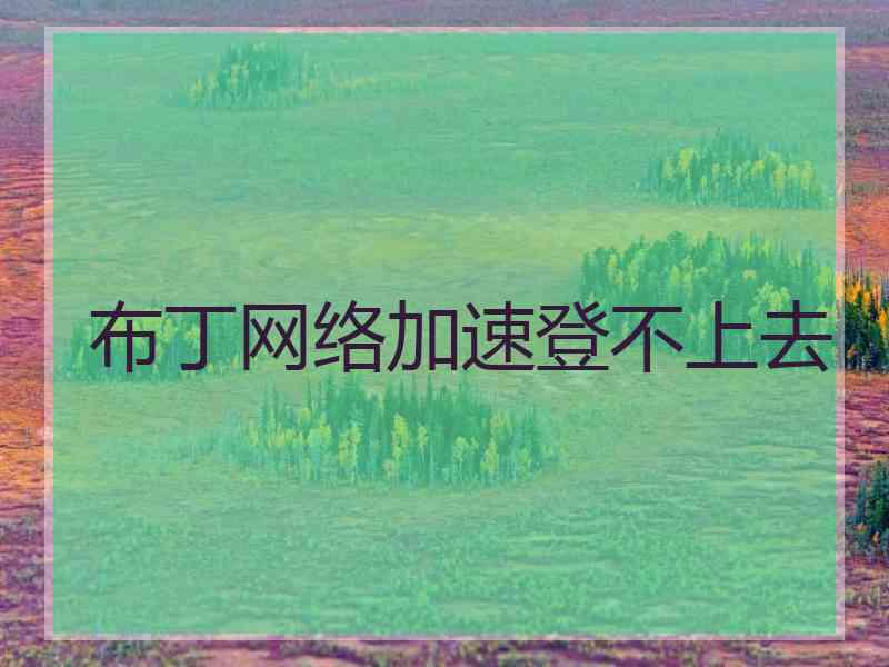 布丁网络加速登不上去