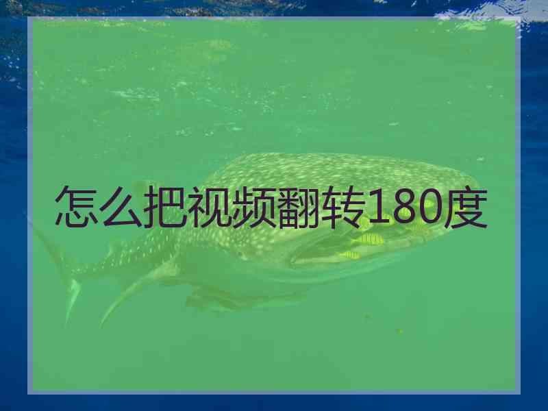 怎么把视频翻转180度