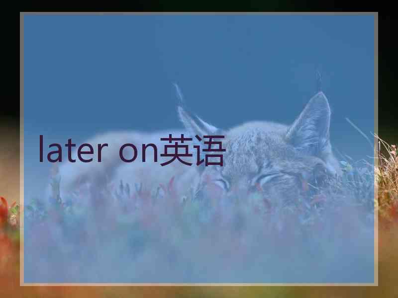 later on英语