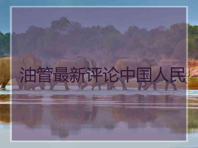油管最新评论中国人民