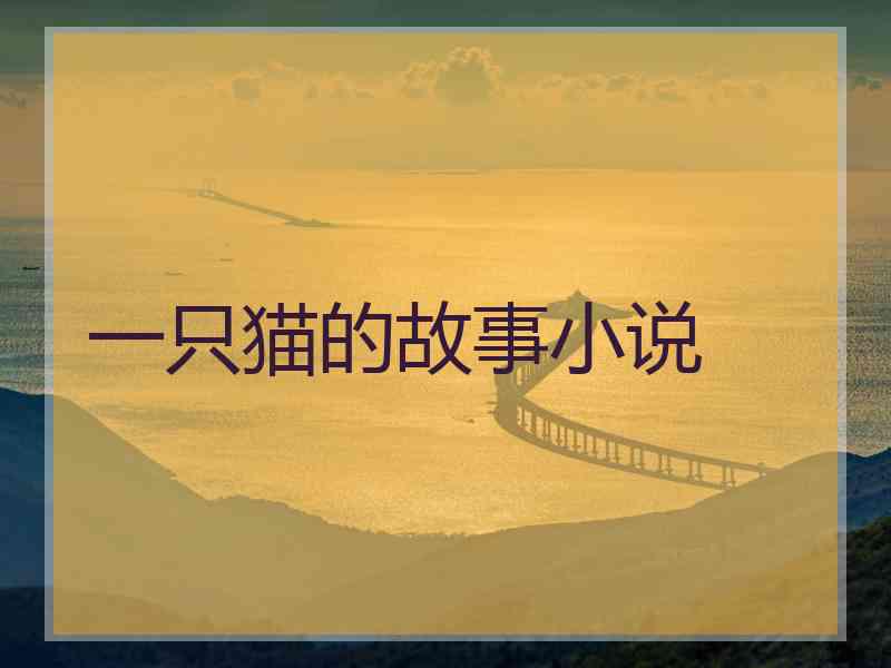 一只猫的故事小说