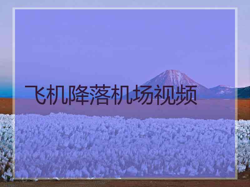 飞机降落机场视频