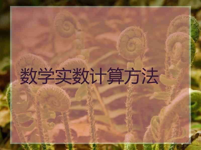 数学实数计算方法