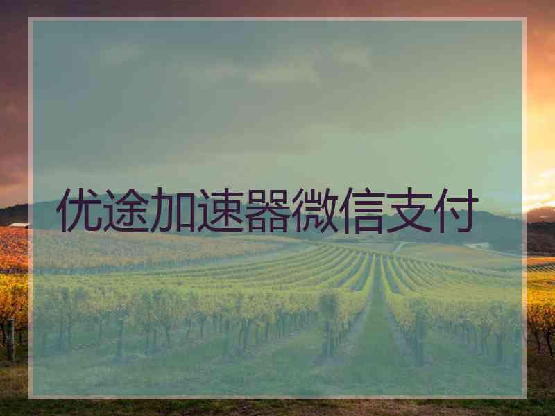 优途加速器微信支付