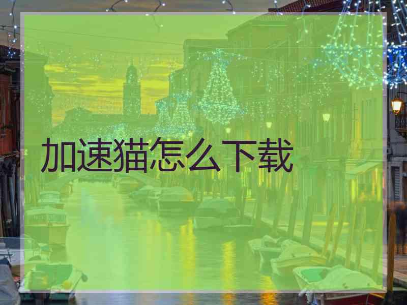 加速猫怎么下载