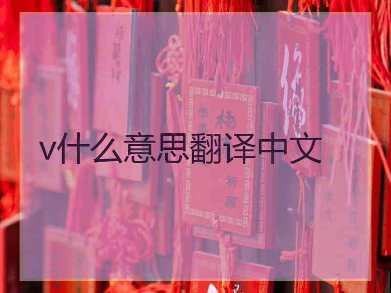 v什么意思翻译中文