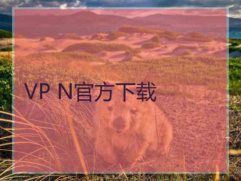 VP N官方下载