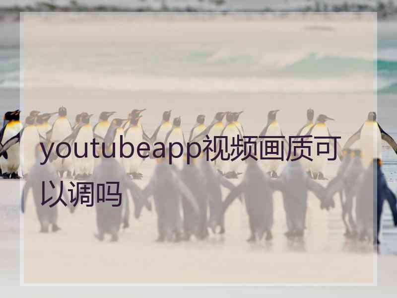 youtubeapp视频画质可以调吗