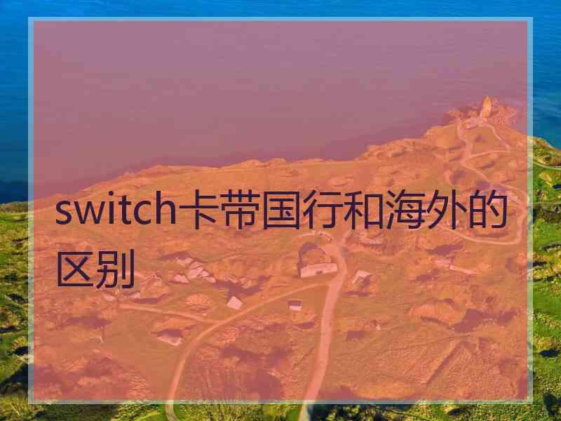 switch卡带国行和海外的区别