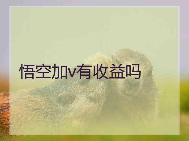 悟空加v有收益吗