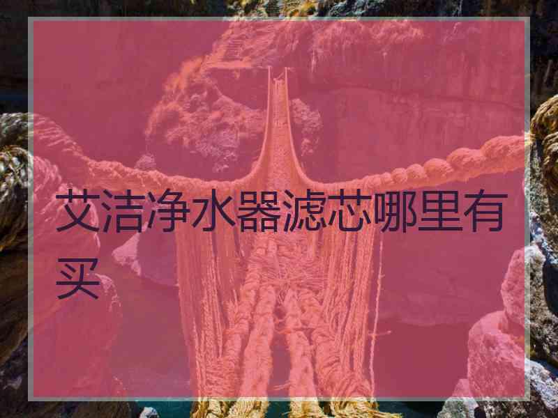 艾洁净水器滤芯哪里有买