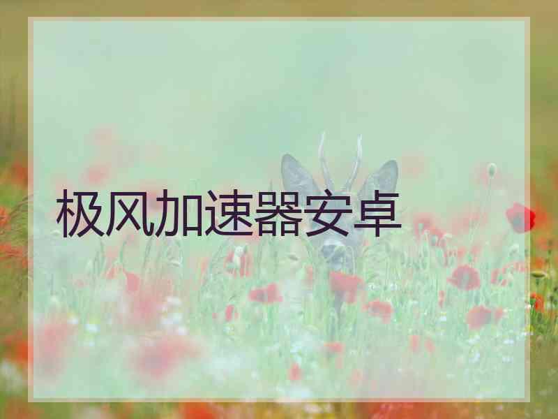 极风加速器安卓