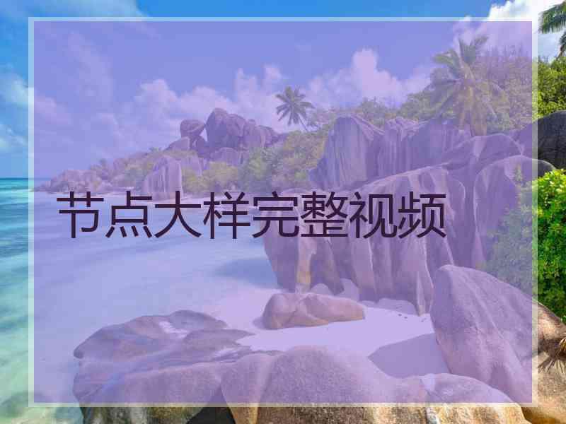 节点大样完整视频