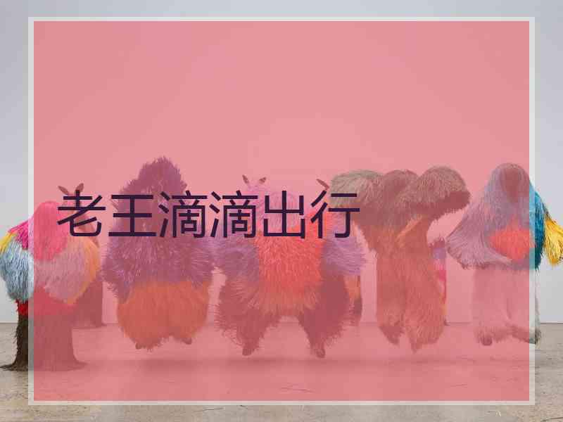 老王滴滴出行