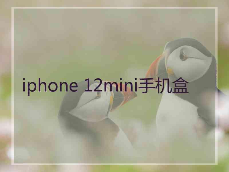 iphone 12mini手机盒