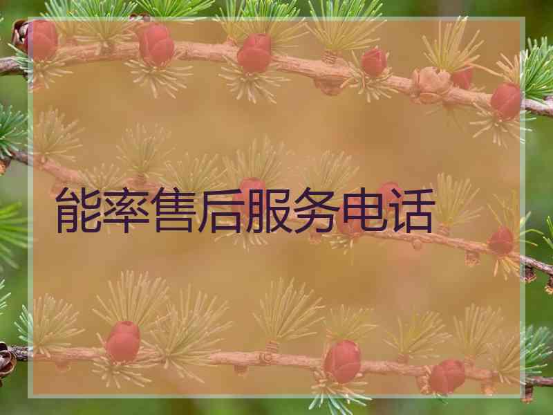 能率售后服务电话