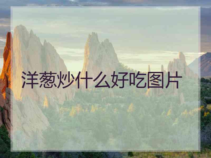 洋葱炒什么好吃图片