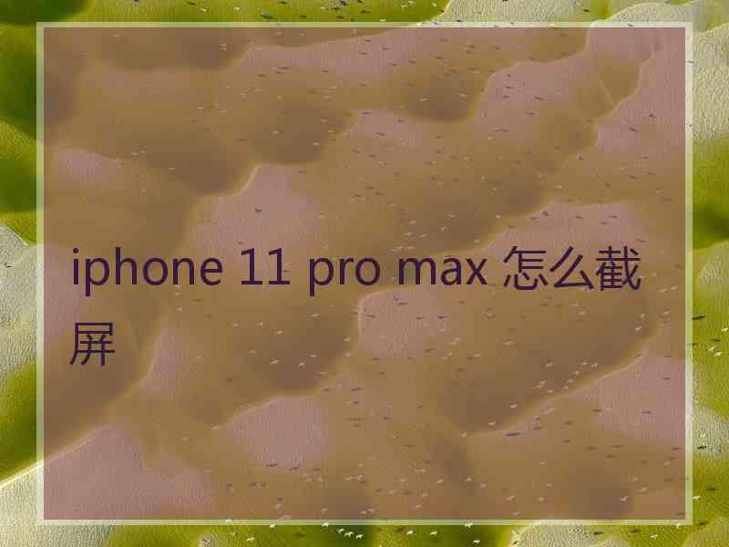 iphone 11 pro max 怎么截屏