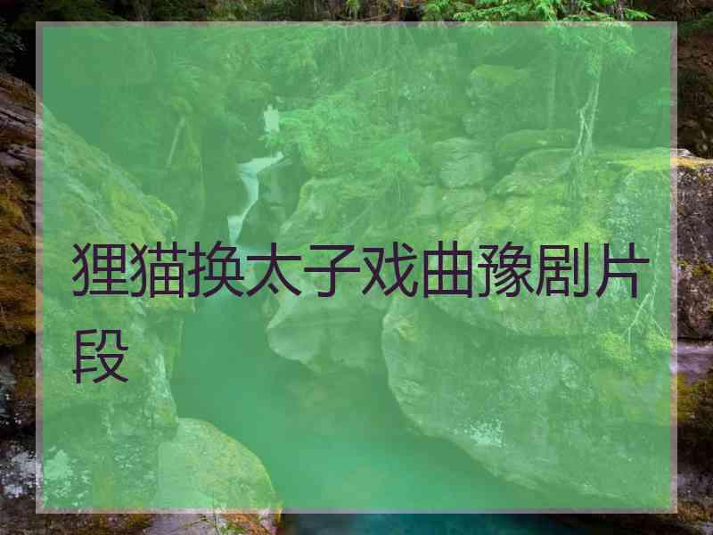 狸猫换太子戏曲豫剧片段