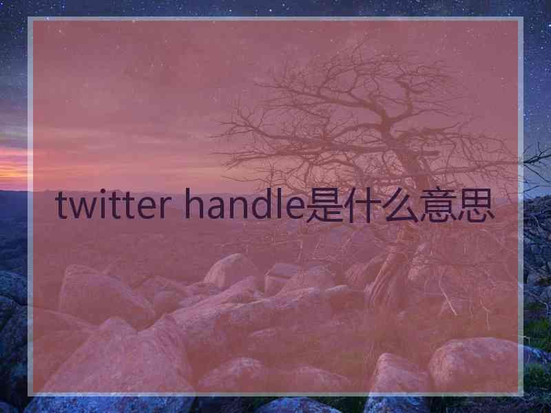 twitter handle是什么意思