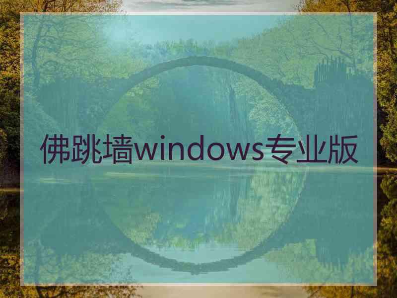 佛跳墙windows专业版
