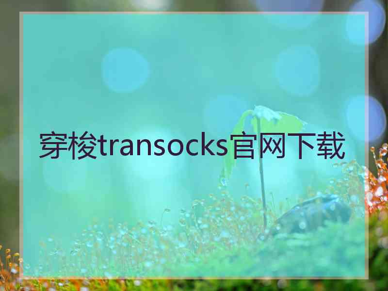 穿梭transocks官网下载